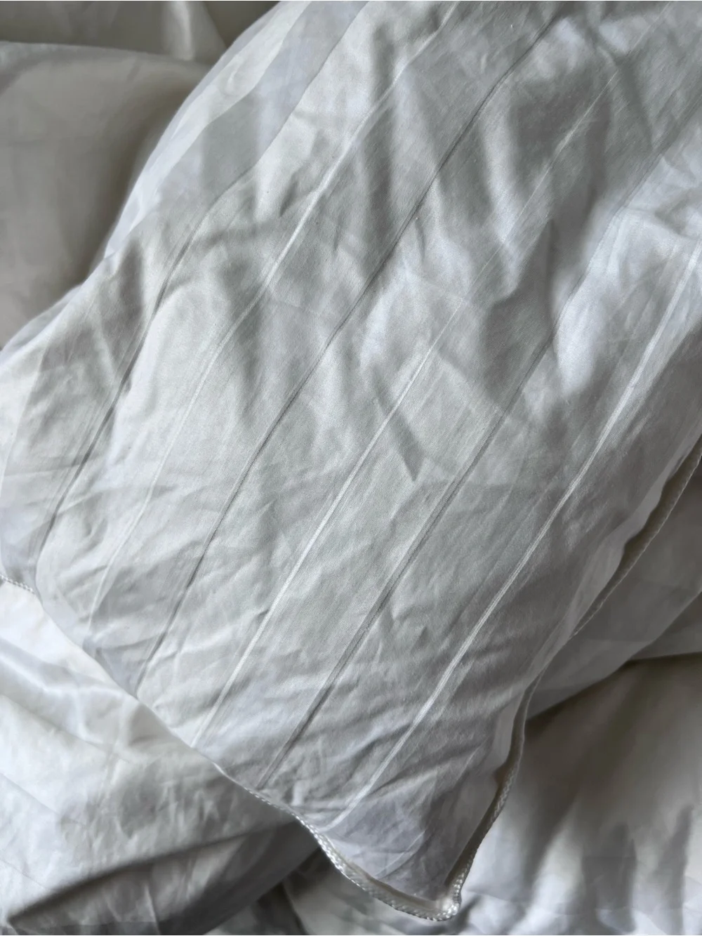 Blue Ridge Home Fashion 500 thread count premium white down king size comforter